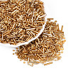 Electroplate Glass Seed Beads GLAA-SZC0007-01E-3