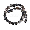 Natural Glaucophane Beads Strands G-C141-E01-03-3