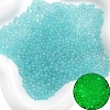 Luminous Bubble Beads SEED-E005-01L-1