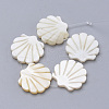 Natural Freshwater Shell Beads X-SHEL-T007-02-1