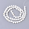 Natural Freshwater Shell Beads Strands X-SHEL-N027-01-2