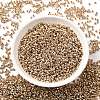 12/0 Electroplate Glass Seed Beads SEED-Q003-01-1