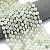 Natural Quartz Beads Strands G-C116-A61-02-1