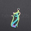 Ion Plating(IP) 201 Stainless Steel Pendants STAS-R111-JA541-1