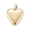 Brass Micro Pave Cubic Zirconia Locket Pendants X-KK-A161-47G-2