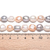 Natural Cultured Freshwater Pearl Beads Strands PEAR-N014-09A-03-6