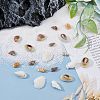 SUPERFINDINGS 7 Styles Natural Shell Beads Sets BSHE-FH0001-02-4