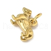 304 Stainless Steel Pendants STAS-P391-01A-G-2