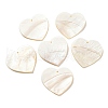 Natural Freshwater Shell Pendants SHEL-F008-01B-1