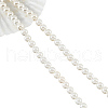 Glass Pearl Beads Strands SHEL-WH0001-009B-1-2
