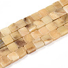 Natural Yellow Opal Beads Strands G-N346-05A-09-2