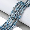 Dyed Natural Sesame Jasper Rondelle Beads Strands G-E316-2x4mm-A01-5