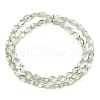 Transparent Glass Beads Strands GLAA-H038-03B-2