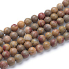 Natural Red Rainbow Jasper Round Beads Strands G-T055-8mm-11-1