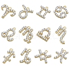 12Pcs 12 Style Alloy Rhinestone Pendants FIND-SZC0010-500-1