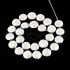 Plating Natural Freshwater Shell Beads Strands SHEL-N026-225B-2