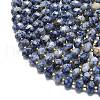 Natural Blue Spot Jasper Beads Strands G-P573-A45-01-3