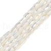Electroplate Glass Beads Strands GLAA-P068-AB06-1