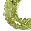 Natural Peridot Beads Strands X-G-P332-48-01-2