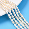 Natural Cultured Freshwater Pearl Beads Strands PEAR-N012-04V-01-1