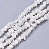 Natural Rainbow Moonstone Beads Strands G-R465-14-1