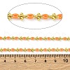 Brass Enamel Link Chains CHC-L050-07G-04-2