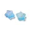 Frosted Acrylic Charms OACR-M023-04F-2