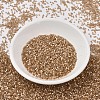 MIYUKI Delica Beads X-SEED-J020-DB1802-2