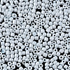 Glass Seed Beads SEED-S061-A-979-9