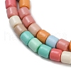 Handmade Lampwork Beads Strands LAMP-S070-06C-3