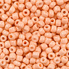 8/0 Baking Paint Glass Seed Beads SEED-R051-07B-06-2