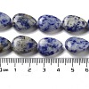 Natural Blue Spot Jasper Beads Strands G-P528-L17-01-5