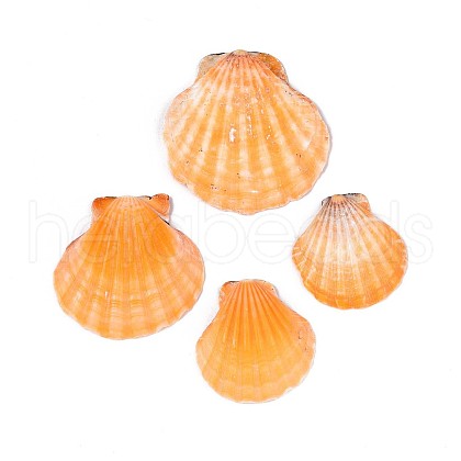 Natural Scallop Shell Beads SSHEL-N040-04-1