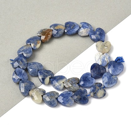 Natural Sodalite Beads Strands G-D316-B08-1