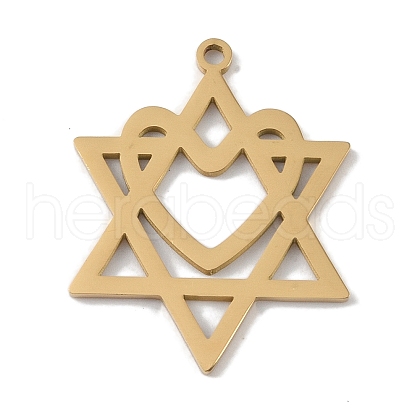 304 Stainless Steel Pendants STAS-B062-19G-1