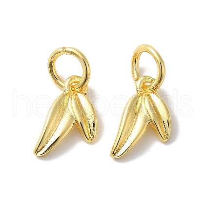 Long-Lasting Plated Brass Charms KK-K381-08G-01-1