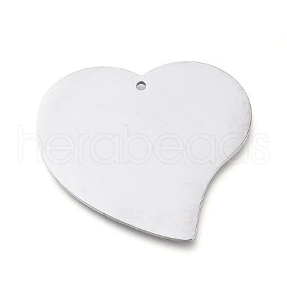 Tarnish Resistant 304 Stainless Steel Pendants STAS-L238-100A-P-1