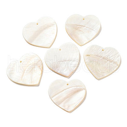 Natural Freshwater Shell Pendants SHEL-F008-01B-1