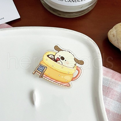 Acrylic Brooch for Backpack Clothes PW-WG98187-03-1