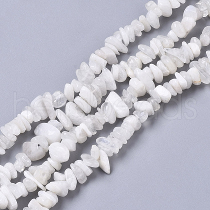 Natural Rainbow Moonstone Beads Strands G-R465-14-1