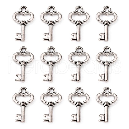 Gifts Ideas for Her Tibetan Style Alloy Charms LF11975Y-1