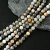 Natural Bamboo Leaf Agate Round Bead Strands G-M248-6mm-04-1