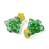 Handmade Lampwork Enamel Beads LAMP-S070-05F-3