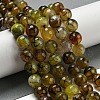 Faceted Natural Dragon Veins Agate Beads Strands G-F447-12mm-L05-1