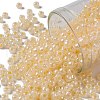 TOHO Round Seed Beads X-SEED-TR08-0901-1