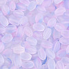 Frosted Glass Seed Beads SEED-N008-05G-3
