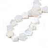 Natural Freshwater Shell Beads Strands SHEL-S278-078A-01-4