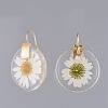 Alloy Resin Dangle Earrings EJEW-JE03560-2