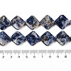 Natural Blue Spot Jasper Beads Strands G-L239-17-5