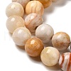 Natural Crazy Lace Agate Beads Strands G-H298-A12-03-4